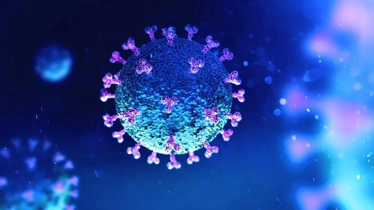 Las infecciones de COVID19 Vida Plena Y Salud Las infecciones de COVID 19