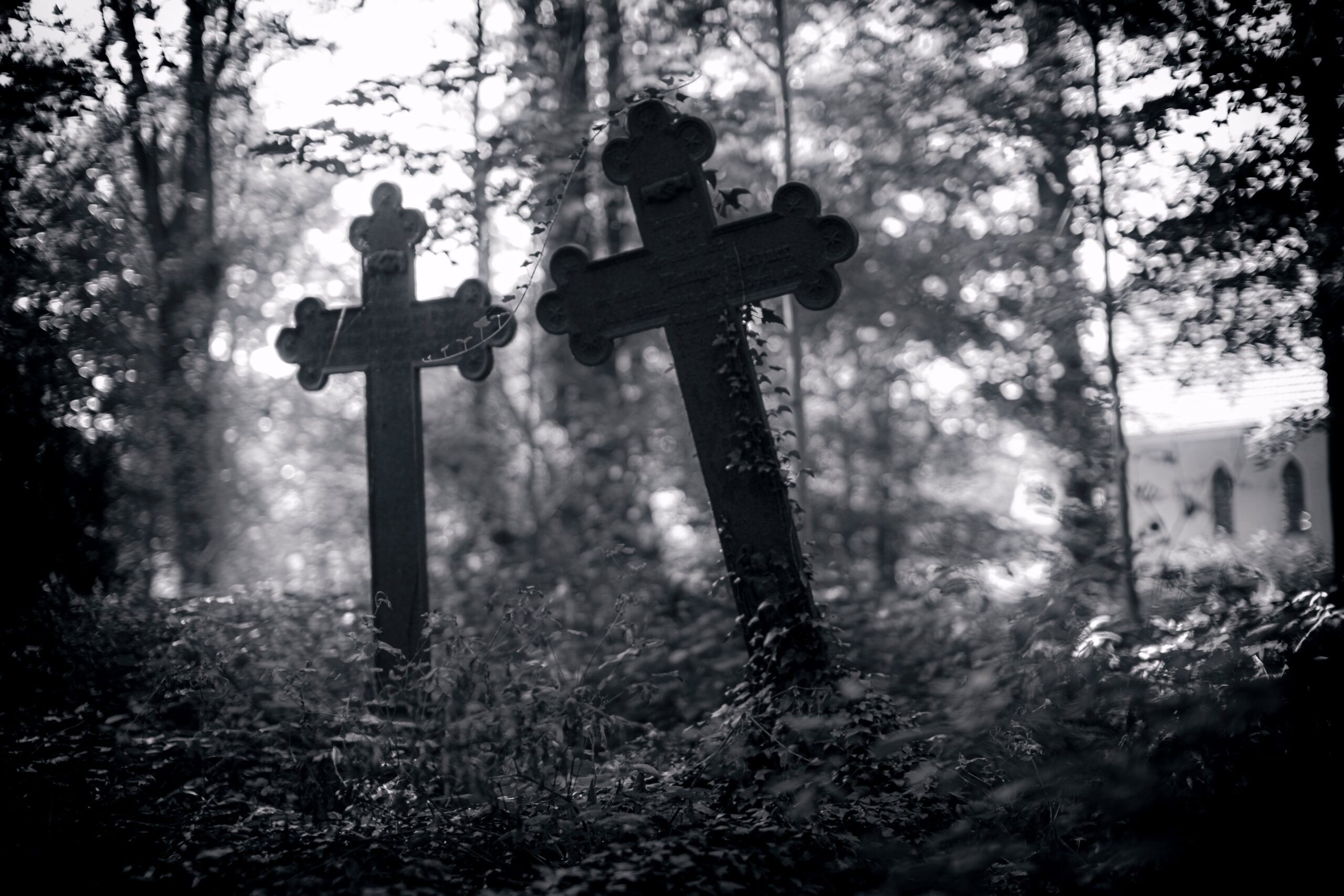 a couple of crosses Vida Plena Y Salud a couple of crosses sitting in the middle of a forest