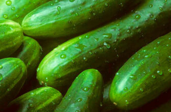 dieta del pepino
