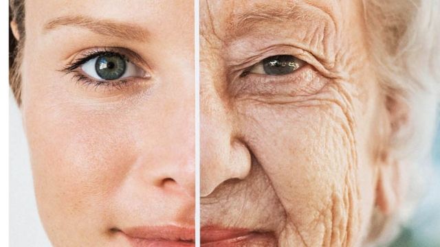 envejecimiento Vida Plena Y Salud envejecimiento